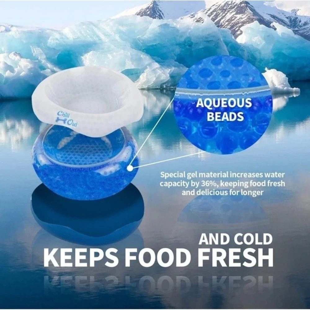 All For Paws Dog Bowl Chill Out Cooler Dish Medium 350 ML for Pet Food or Water